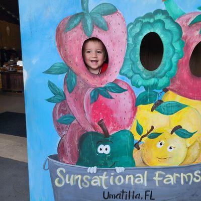 Sunsational Farms