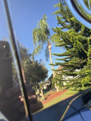 Schumacher Body Shop