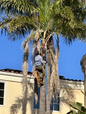 Romo Construction & Landscaping