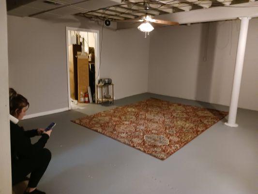 Hive Cleaning and Home Solutions