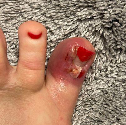 Michael S. Bloch, DPM