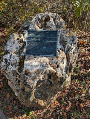 Florida Caverns State Park