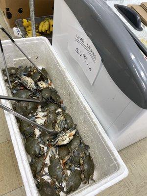 Jasmin Oriental Mart