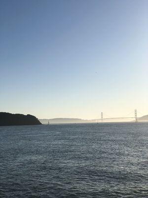 Bay Perennial Home Care