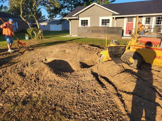 McCoy's Tree Service