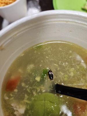 Agave Jalisco Mexican Restaurant