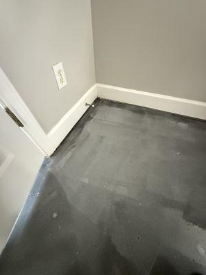 Prodigy Boy Management LLC