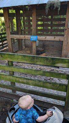 Tree Hill Jacksonville's Nature Center