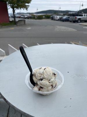 Small (two scoops!) ice cream