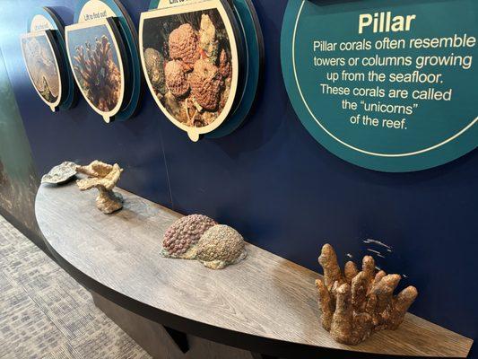 Florida Keys Eco-Discovery Center