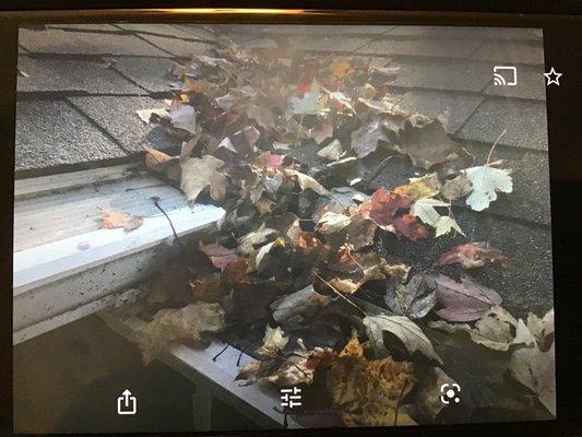 LeafFilter North of New York