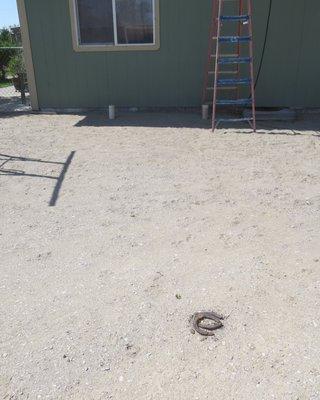 Marshall's Septic Care