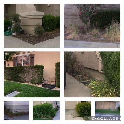 Ferreira's Landscape Maintenance