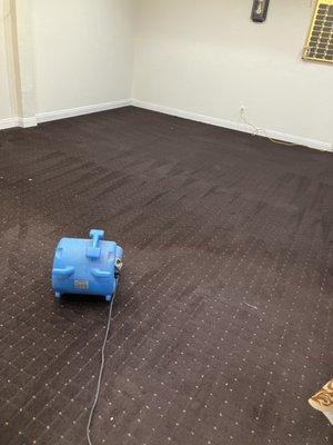 Right on Time Carpet Care