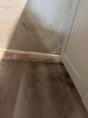 Creekside Garden Apartments