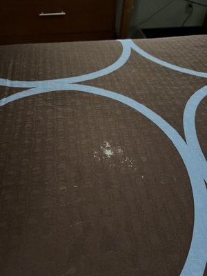 Super 8 by Wyndham Columbus