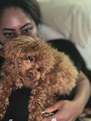 Groomickey Salon and Store