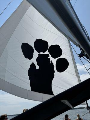 Sailing away the afternoon on nauti cat