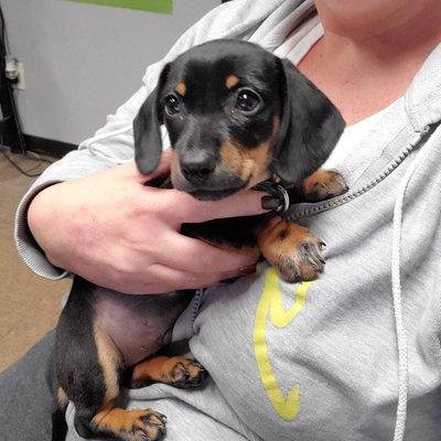 Newest member of the JNM Team Ace