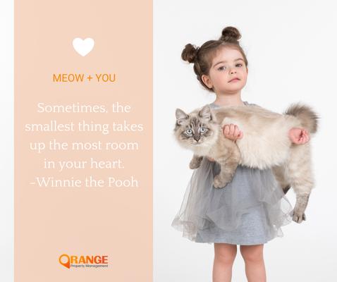 Orange Property Management