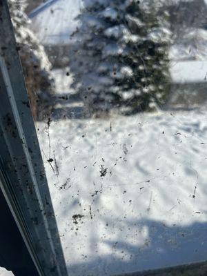 Willowcrest Care Center