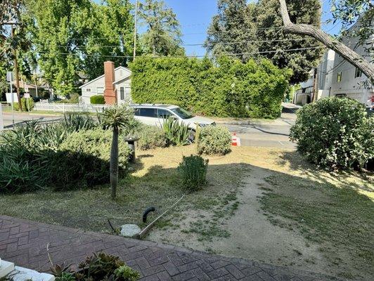 Cedar Lake Gardening Services