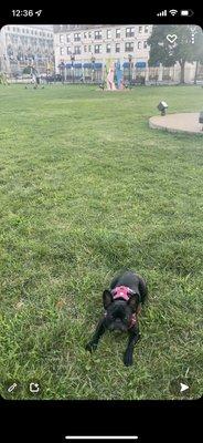 The Ellen Clark Sculpture Park