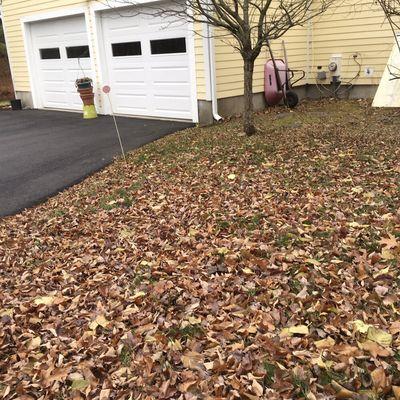 Rosalie's Landscaping & Construction