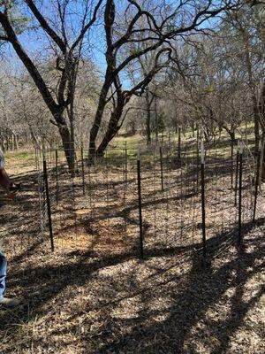 Texican Wild Hog Trapping