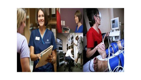 American Vein & Vascular Institute