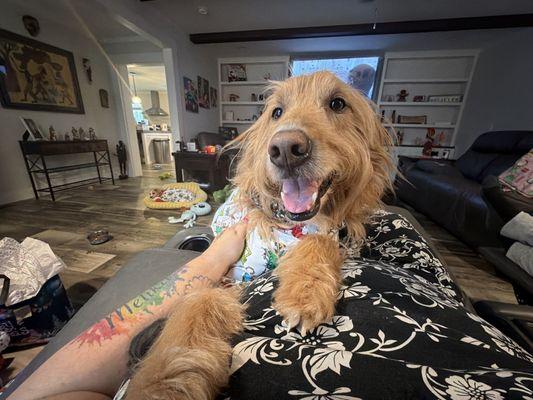 Ashland Animal Clinic