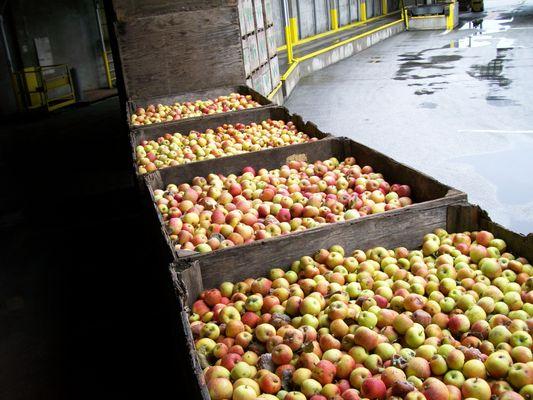 Pajaro Valley Cold Storage