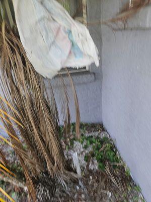 Trash in trees from roofers.