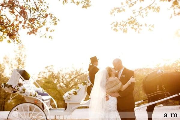 Ava K's Carriage Service