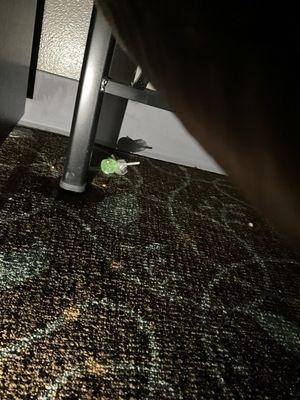 This is some sort of green sucker stuck to carpet under bed