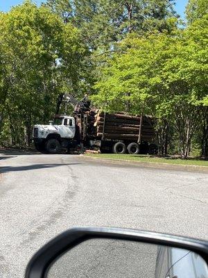 Southeastern Tree Removal