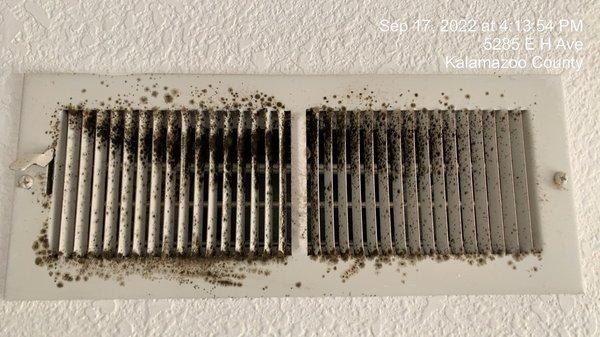 Mold in all registers!!!!!