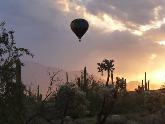 Fleur de Tucson Balloon Tours