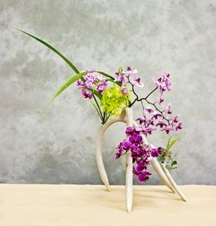 Ikebana Dojo