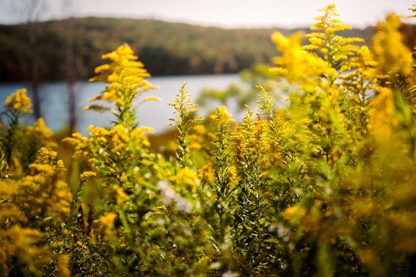 Suiters Photography & Design