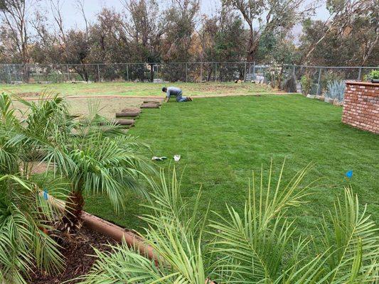 Celis Lawn & Sprinkler Service