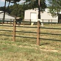 A Private Investigator