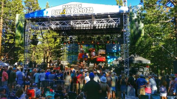Bluesapalooza