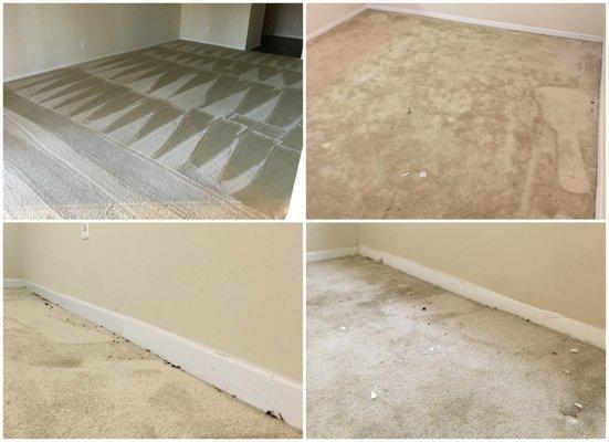 Affordable carpet cleaning!