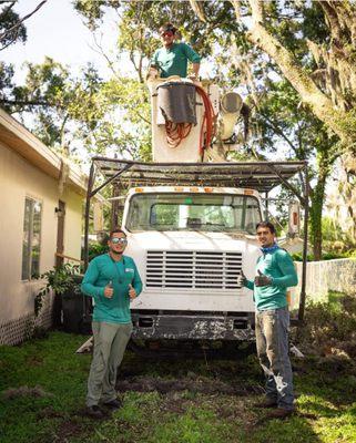 New Breeze Tree Service