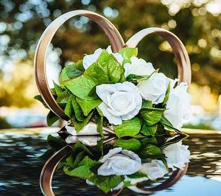 Alpha Limousine Services