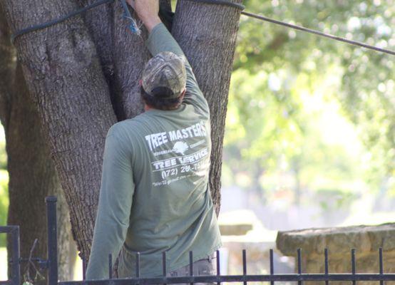 Our arborist act as project managers on all of our large or dangerous tree service projects.