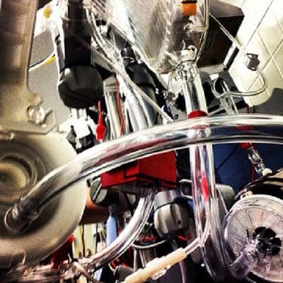 United-States-Perfusionist