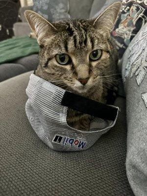 Mobil 1 Lube Express NW