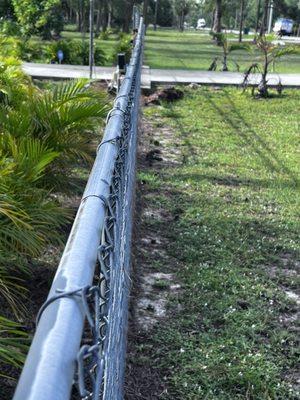 Collier County Domestic Animal Services